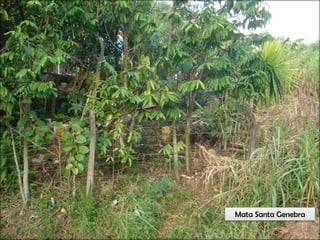 Circuitos Educadores