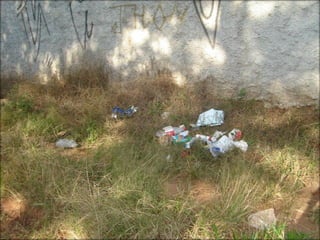 Circuitos Educadores