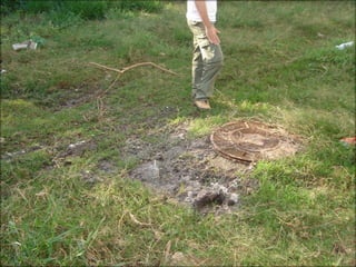 Circuitos Educadores