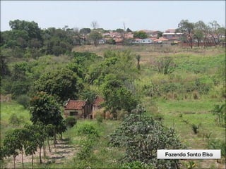 Circuitos Educadores