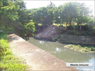Circuitos Educadores