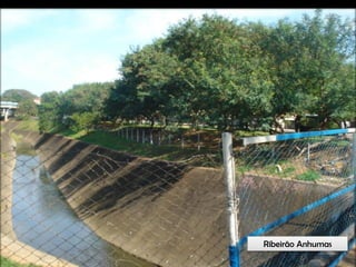 Circuitos Educadores