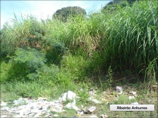 Circuitos Educadores