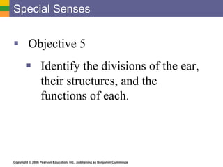 Copyright © 2006 Pearson Education, Inc., publishing as Benjamin Cummings
Special Senses
 Objective 5
 Identify the divisions of the ear,
their structures, and the
functions of each.
 