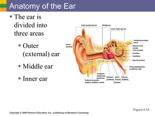 Ear | PPTX