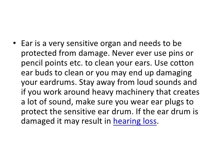Can You Use Cotton Ear Buds On Your Dog Can You Use Cotton Ear Buds On Your Dog