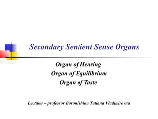Secondary Sentient Sense Organs
Organ of Hearing
Organ of Equilibrium
Organ of Taste
Lecturer – professor Boronikhina Tatiana Vladimirovna
 