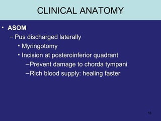 18
CLINICAL ANATOMY
• ASOM
– Pus discharged laterally
• Myringotomy
• Incision at posteroinferior quadrant
–Prevent damage to chorda tympani
–Rich blood supply: healing faster
 
