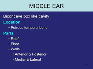23
MIDDLE EAR
Biconcave box like cavity
Location
– Petrous temporal bone
Parts
– Roof
– Floor
– Walls
• Anterior & Posterior
• Medial & Lateral
 