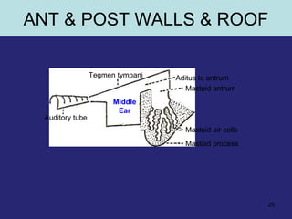 25
Auditory tube
Tegmen tympani Aditus to antrum
Mastoid antrum
Mastoid air cells
Mastoid process
Middle
Ear
ANT & POST WALLS & ROOF
 