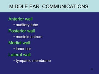30
MIDDLE EAR: COMMUNICATIONS
Anterior wall
• auditory tube
Posterior wall
• mastoid antrum
Medial wall
• inner ear
Lateral wall
• tympanic membrane
 