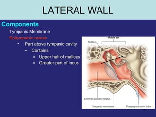 41
LATERAL WALL
Components
Tympanic Membrane
Epitympanic recess
• Part above tympanic cavity
– Contains
» Upper half of malleus
» Greater part of incus
 