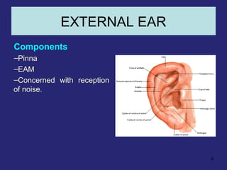 EXTERNAL EAR
Components
–Pinna
–EAM
–Concerned with reception
of noise.
4
 