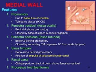 42
MEDIAL WALL
Features
1. Promontory
• Due to basal turn of cochlea
• Tympanic plexus (IX CN)
1. Fenestra vestibuli (fossa ovalis)
• Behind & above promontory
• Closed by base of stapes & annular ligament
1. Fenestra cochleae (fossa rotunda)
• Below & behind promontory
• Closed by secondary TM (separate TC from scala tympani)
1. Sinus tympani
• Depression behind promontory
• Position of ampulla of post semicircular canal
1. Facial canal
• Oblique part, run back & down above fenestra vestibuli
1. Processus trochleariformis
 