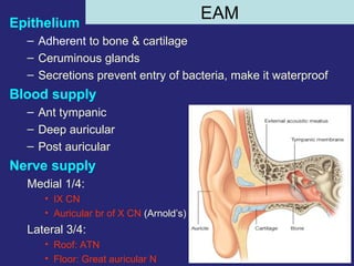 7
EAMEpithelium
– Adherent to bone & cartilage
– Ceruminous glands
– Secretions prevent entry of bacteria, make it waterproof
Blood supply
– Ant tympanic
– Deep auricular
– Post auricular
Nerve supply
Medial 1/4:
• IX CN
• Auricular br of X CN (Arnold’s)
Lateral 3/4:
• Roof: ATN
• Floor: Great auricular N
 