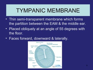 Tympanic membrane
• Thin semi-transparent membrane which forms
the partition between the EAM & the middle ear.
• Placed obliquely at an angle of 55 degrees with
the floor.
• Faces forward, downward & laterally.
8
TYMPANIC MEMBRANE
 