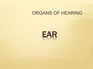 EAR
ORGANS OF HEARING
 