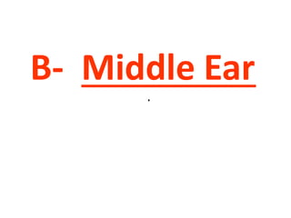 B- Middle Ear
.
 