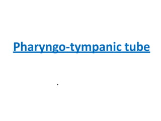 Pharyngo-tympanic tube
.
 