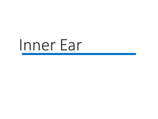 Inner Ear
 