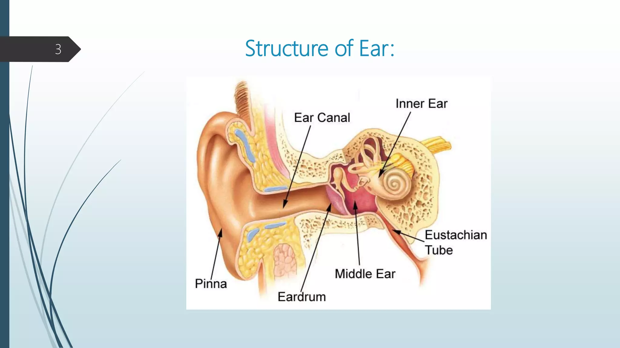 Anatomy & Physiology of ear | PPTX