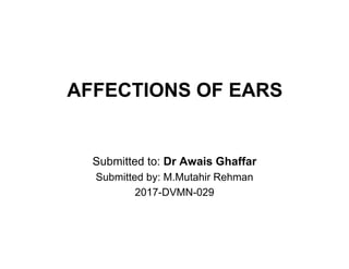 AFFECTIONS OF EARS
Submitted to: Dr Awais Ghaffar
Submitted by: M.Mutahir Rehman
2017-DVMN-029
 