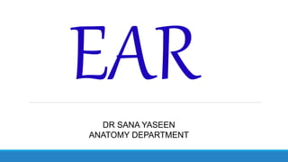 DR SANA YASEEN
ANATOMY DEPARTMENT
 