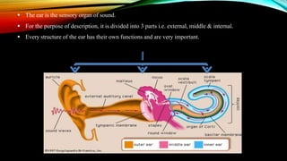  The ear is the sensory organ of sound.
 For the purpose of description, it is divided into 3 parts i.e. external, middle & internal.
 Every structure of the ear has their own functions and are very important.
Three main parts of the Ear
 