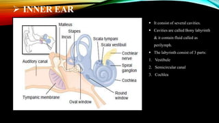  INNER EAR
 It consist of several cavities.
 Cavities are called Bony labyrinth
& it contain fluid called as
perilymph.
 The labyrinth consist of 3 parts:
1. Vestibule
2. Semicircular canal
3. Cochlea
 