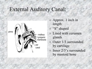 Ear.ppt