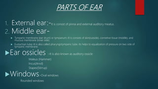 PARTS OF EAR
1. External ear:-It is consist of pinna and external auditory meatus.
2. Middle ear-
 Tympanic membrane (ear drum) or tympanum:-It is consists of skin(outside), connetive tissue (middle), and
mucous membrane (inner side).
 Eustachian tube:-It is also called pharyngotympanic tube. Its helps to equalization of pressure on two side of
tympanic membrane.
Ear ossicles :-It is also known as auditory ossicle
Maleus (Hammer)
Incus(Anvil)
Stapes(Stirrup)
Windows:-Oval windows
Rounded windows
 