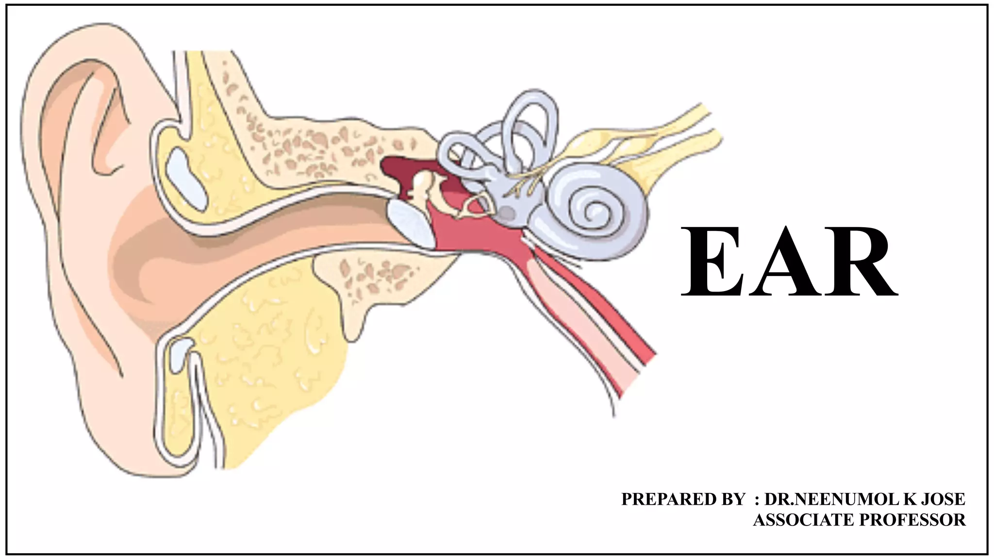 EAR ASSESSMENT | PDF