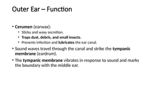 EAR Introduction, Functions, Uses, Importance | PPTX