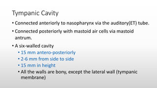 EAR-ANATOMY.pdf