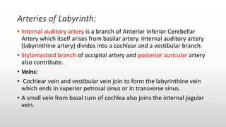 Arteries of Labyrinth:
• Internal auditory artery is a branch of Anterior Inferior Cerebellar
Artery which itself arises from basilar artery. Internal auditory artery
(labyrinthine artery) divides into a cochlear and a vestibular branch.
• Stylomastoid branch of occipital artery and posterior auricular artery
also contribute.
• Veins:
• Cochlear vein and vestibular vein join to form the labyrinthine vein
which ends in superior petrosal sinus or in transverse sinus.
• A small vein from basal turn of cochlea also joins the internal jugular
vein.
 