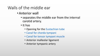 Walls of the middle ear
•Anterior wall
• separates the middle ear from the internal
carotid artery.
• It has
• Opening for the Eustachian tube
• Canal for chorda tympani
• Canal for tensor tympani muscle
• Anterior malleolar ligament
• Anterior tympanic artery
 
