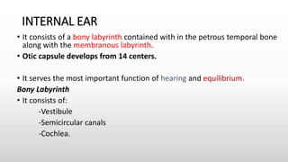 INTERNAL EAR
• It consists of a bony labyrinth contained with in the petrous temporal bone
along with the membranous labyrinth.
• Otic capsule develops from 14 centers.
• It serves the most important function of hearing and equilibrium.
Bony Labyrinth
• It consists of:
-Vestibule
-Semicircular canals
-Cochlea.
 