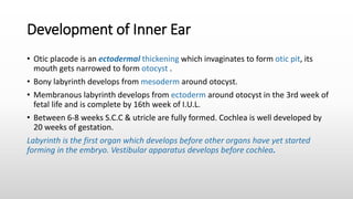 Development of Inner Ear
• Otic placode is an ectodermal thickening which invaginates to form otic pit, its
mouth gets narrowed to form otocyst .
• Bony labyrinth develops from mesoderm around otocyst.
• Membranous labyrinth develops from ectoderm around otocyst in the 3rd week of
fetal life and is complete by 16th week of I.U.L.
• Between 6-8 weeks S.C.C & utricle are fully formed. Cochlea is well developed by
20 weeks of gestation.
Labyrinth is the first organ which develops before other organs have yet started
forming in the embryo. Vestibular apparatus develops before cochlea.
 
