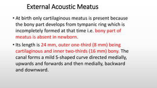 External Acoustic Meatus
• At birth only cartilaginous meatus is present because
the bony part develops from tympanic ring which is
incompletely formed at that time i.e. bony part of
meatus is absent in newborn.
• Its length is 24 mm, outer one-third (8 mm) being
cartilaginous and inner two-thirds (16 mm) bony. The
canal forms a mild S-shaped curve directed medially,
upwards and forwards and then medially, backward
and downward.
 