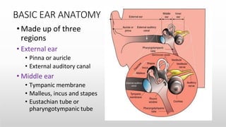 Anatomy of the Internal Ear -Medical Presentation | PPTX
