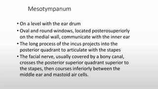 Incus Project Anatomy of the Internal Ear -Medical Presentation | PPTX