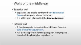 Anatomy of the Internal Ear -Medical Presentation | PPTX