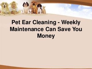 Pet Ear Cleaning - Weekly
Maintenance Can Save You
Money
 
