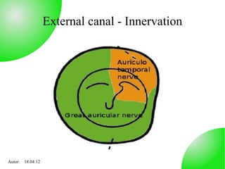 External canal - Innervation




Autor: 18.04.12
 