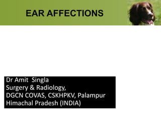 EAR AFFECTIONS
Dr Amit Singla
Surgery & Radiology,
DGCN COVAS, CSKHPKV, Palampur
Himachal Pradesh (INDIA)
 