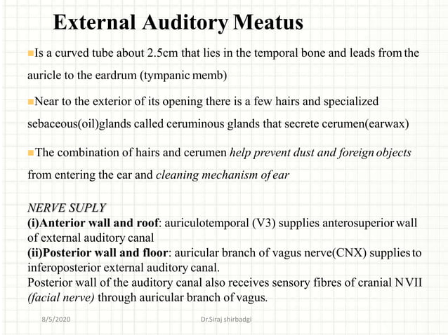 ear anatomy external middle and inner.pptx