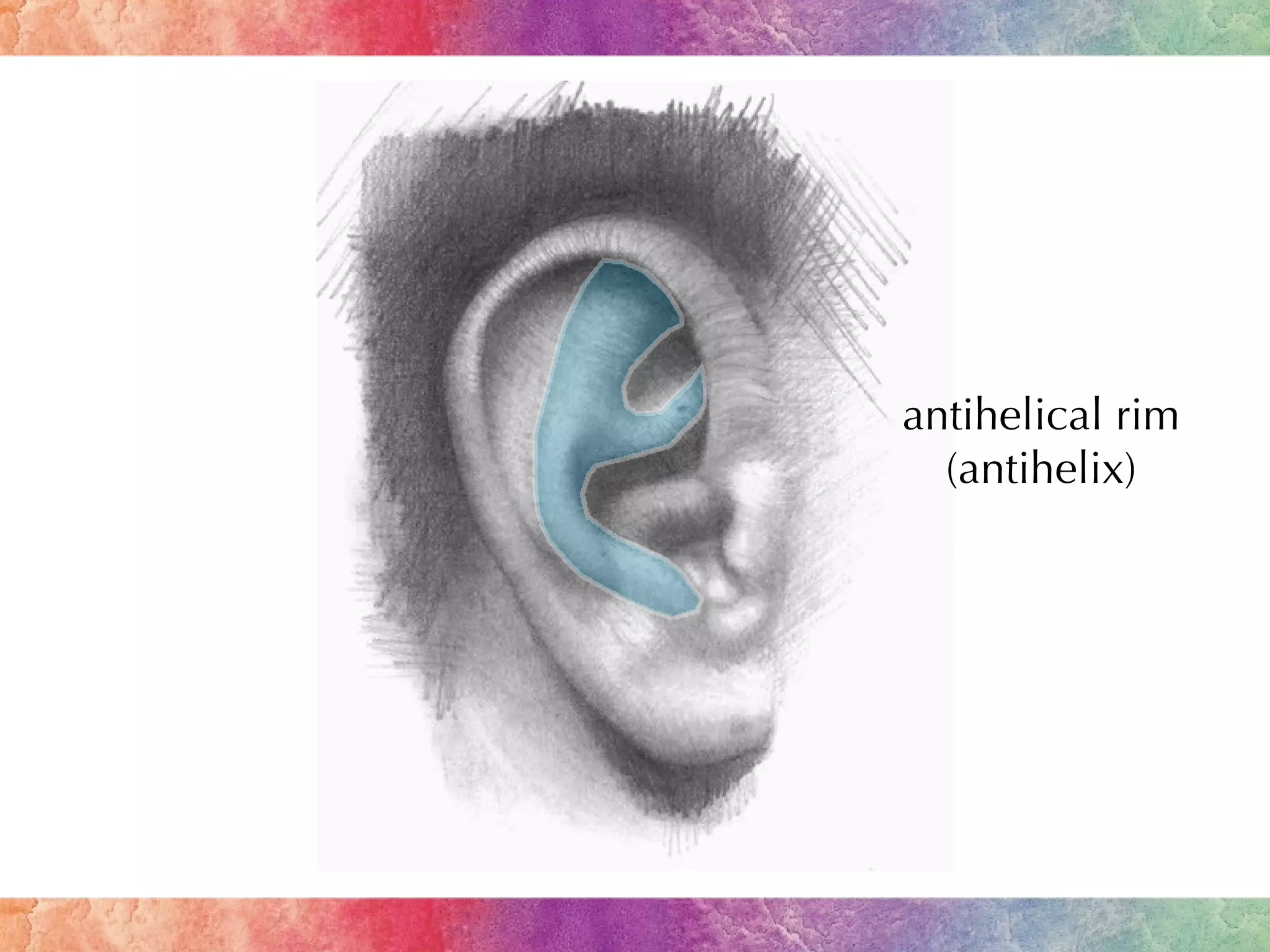 Ear Anatomy PPT Test | PPT