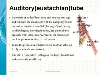 Auditory(eustachian)tube
• It consists of both of both bone and hyaline cartilage
and connects the middle ear with the nasopharynx.it is
normally closed at its medial(pharyngeal)end;during
swallowing and yawning,it opens,then atmospheric
pressure from throat enters or leaves the middle ear
until int.pressure is =to external pressure.
• When the pressures are balanced,the eardrum vibrates
freely as soundwaves strike it
• It is also a route where pathogens can travel from throat
and nose to the middle ear
2/19/2019 Dr Ndayisaba Corneille
 