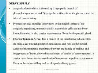 NERVE SUPPLY:
• tympanic plexus which is formed by 1) tympanic branch of
glossopharngeal nerve and 2) sympathetic fibers from the plexus round the
internal carotid artery.
• Tympanic plexus supplies innervation to the medial surface of the
tympanic membrane, tympanic cavity, mastoid air cells and the bony
Eustachian tube. It also carries secretomotor fibres for the parotid gland.
• Chorda Tympani Nerve: It is a branch of the facial nerve which enters
the middle ear through posterior canaliculus, and runs on the medial
surface of the tympanic membrane between the handle of malleus and
long process of incus, above the attachment of tendon of tensor tympani. It
carries taste from anterior two-thirds of tongue and supplies secretomotor
fibres to the submaxi llary and su blingual sa livary glands
2/19/2019 Dr Ndayisaba Corneille
 