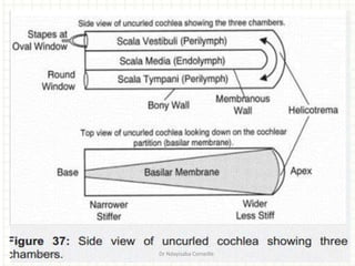 2/19/2019 Dr Ndayisaba Corneille
 
